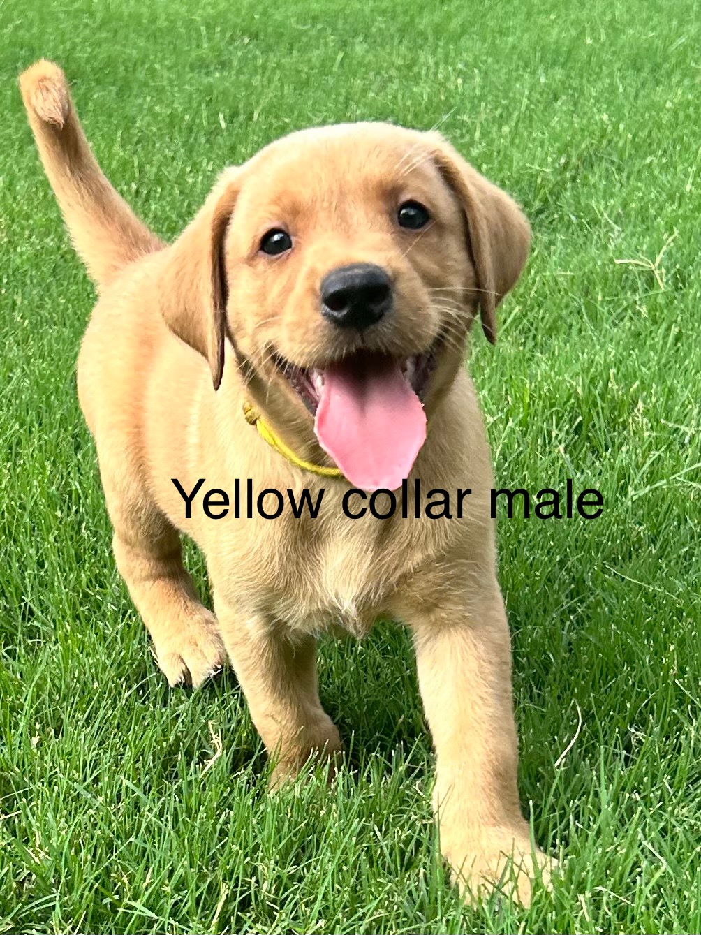 advert_image52747a12-6795-4ca4-ba9a-297e6a188194.jpeg