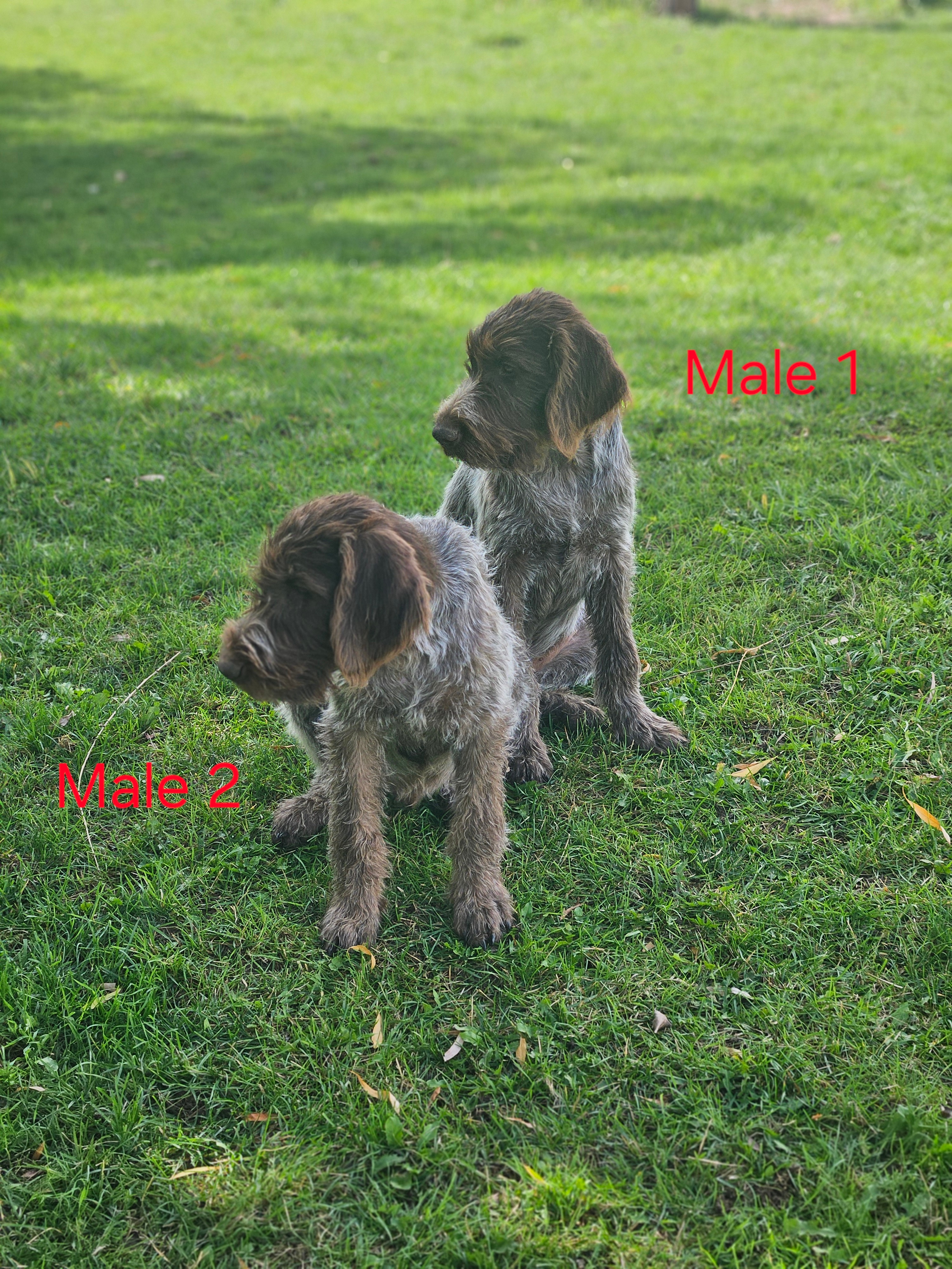 advert_imagea17e1ddd-d633-4971-a135-521ebb527993.jpg