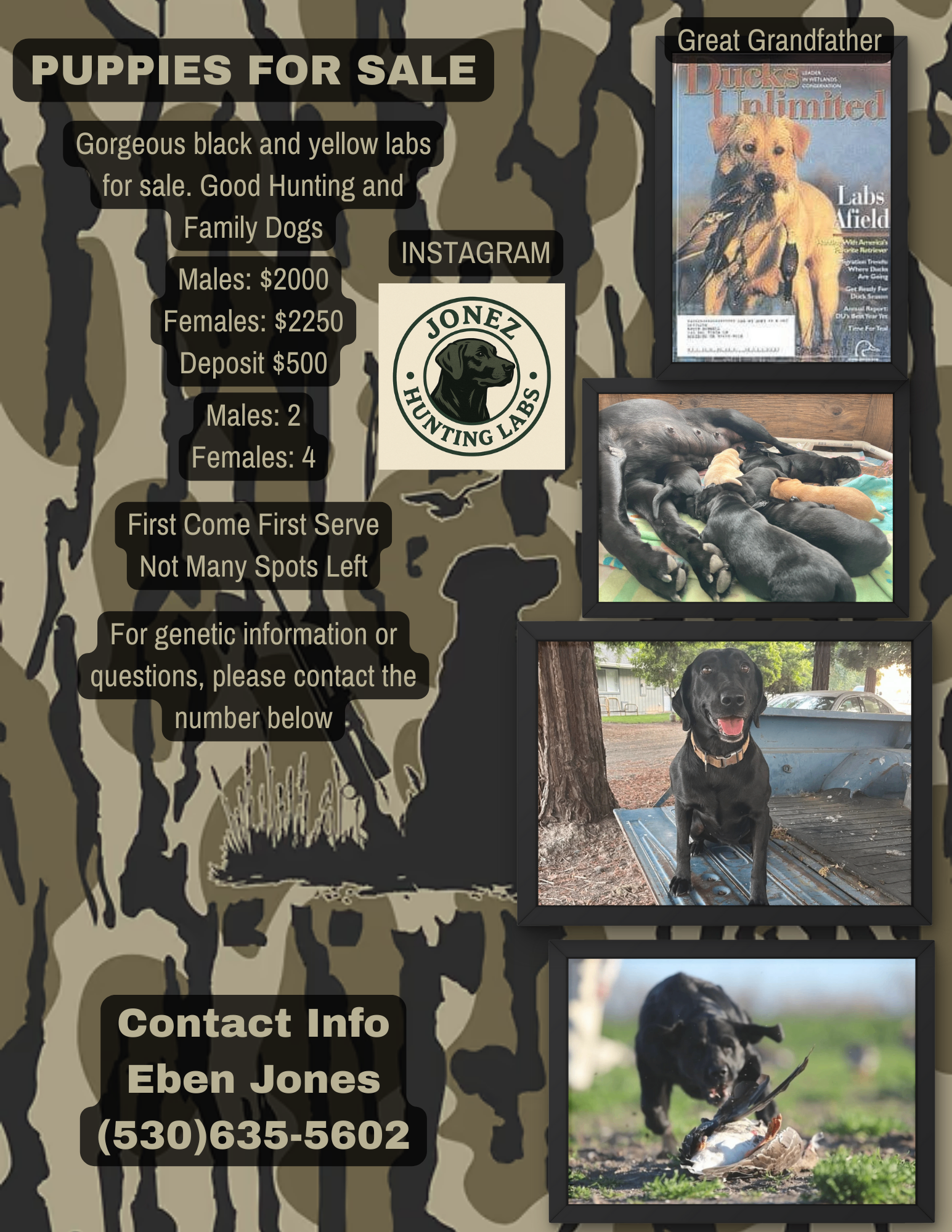 advert_imagede443855-e748-4adf-8a0a-16d943dd7a81.png